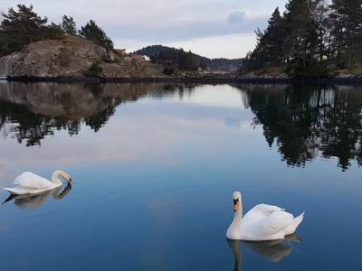 März, April ..... Frühling 2019