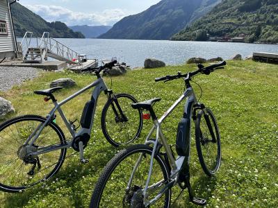 Ervaar de fjord en de bergen op 2 wielen