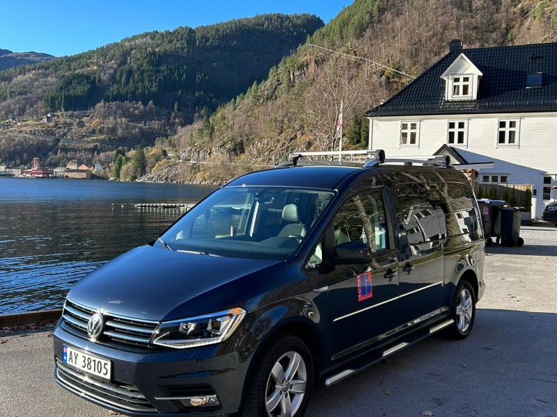 BORKSbil Caddy Nr.1  - Leihwagen Lødingen