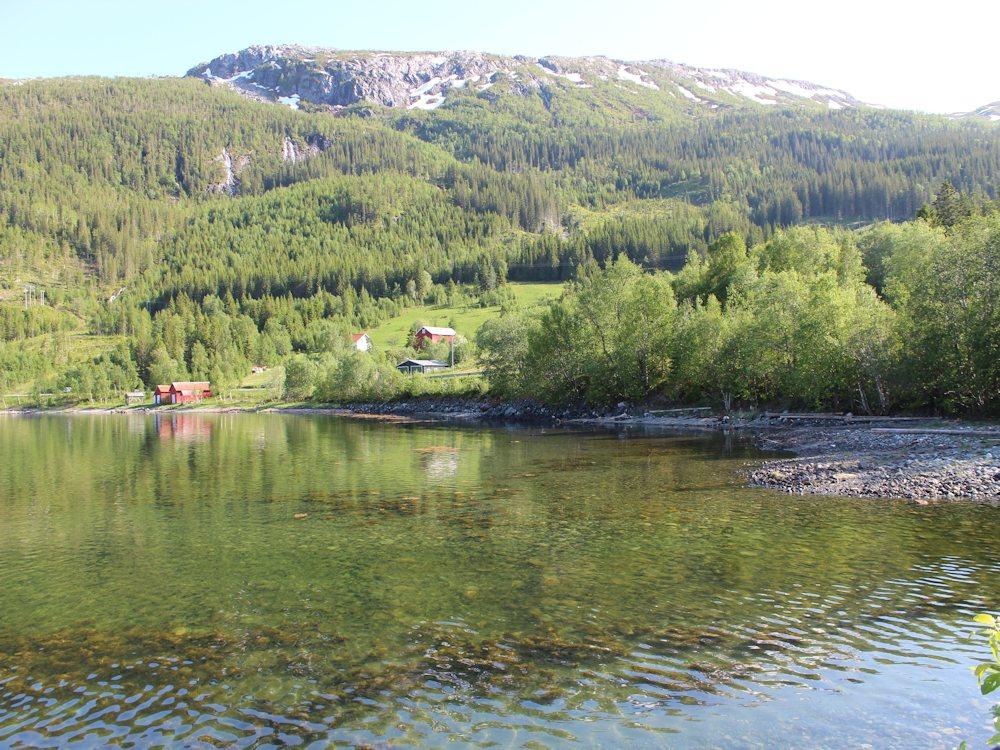 199/1 TERRÅK am Bindalsfjord - 5