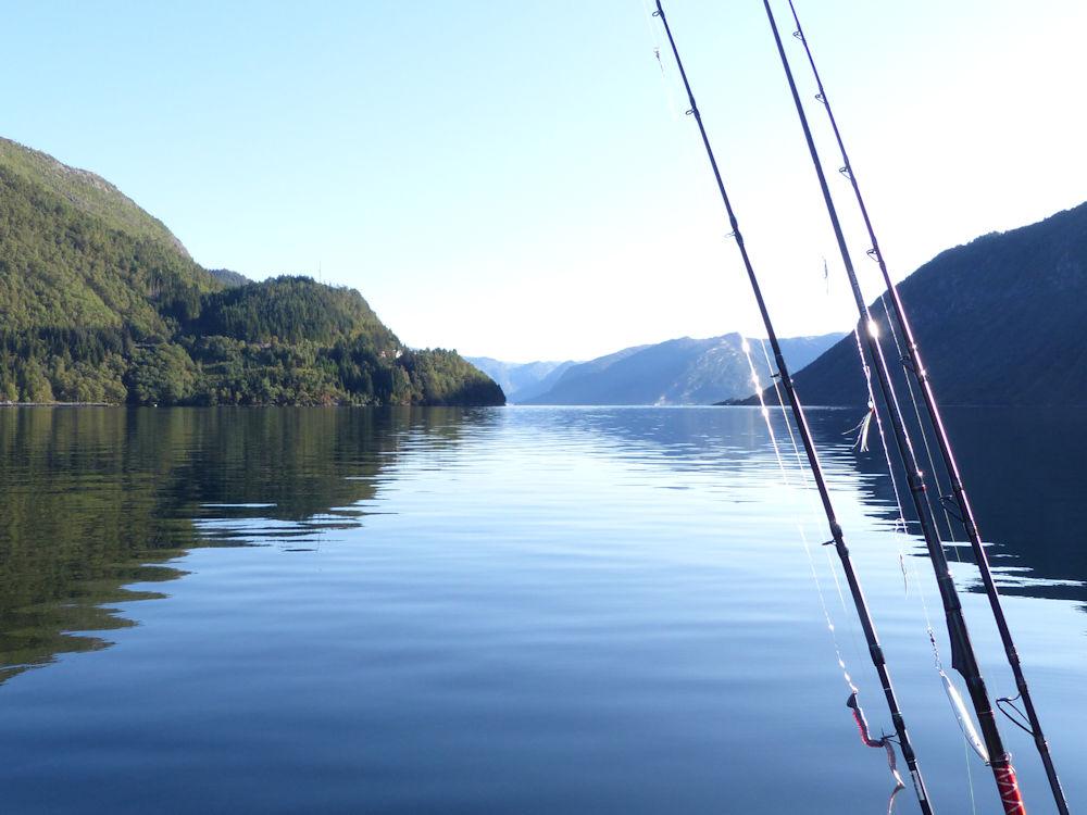 100/7 ANDRINIBU am Vadheimsfjord - 22