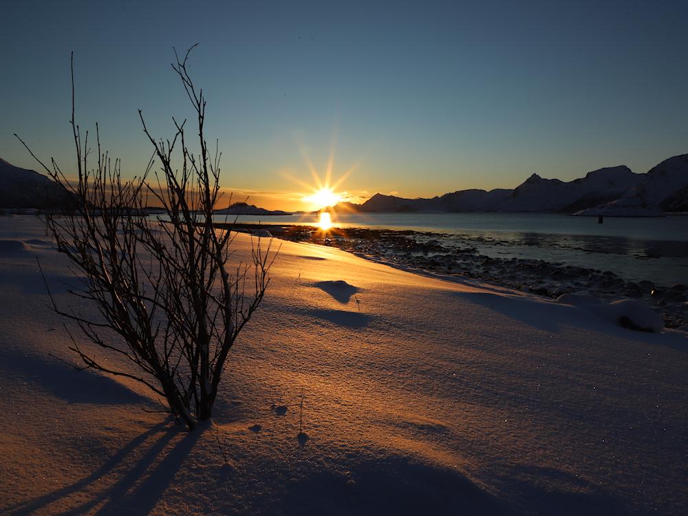 100/11 LOFOTEN - Yetibu - 9