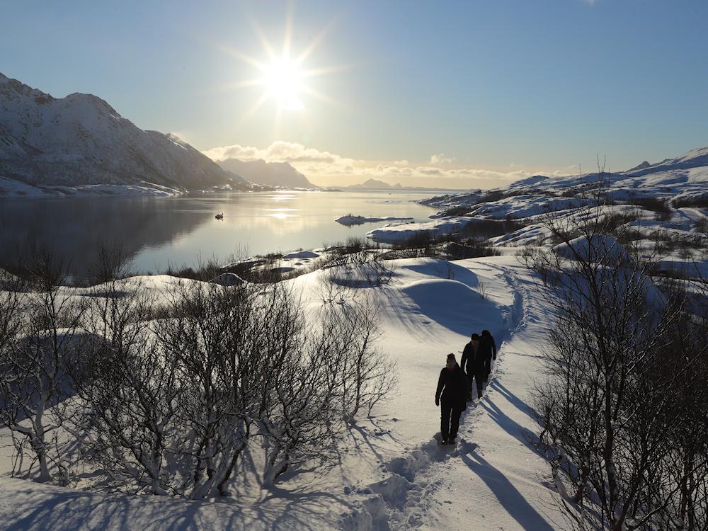 100/12 LOFOTEN  - Lenibu - 18