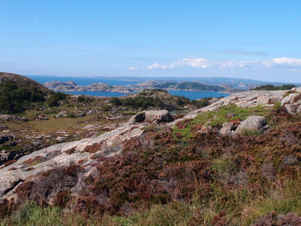 221/2 KAP LINDESNES bei Mandal - 10