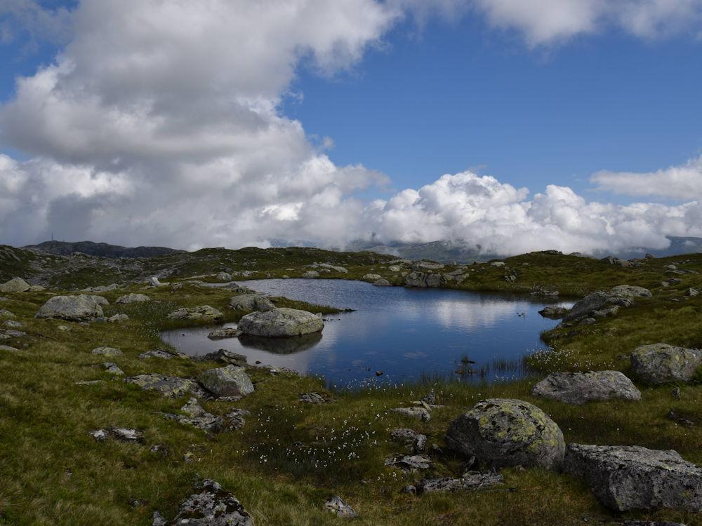 113/1 BERGE am Sognefjord - 26