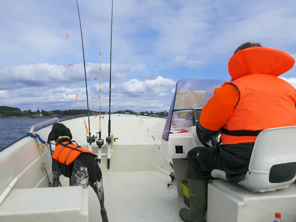 159/3 FÆRØY - Sognessjøen - 23