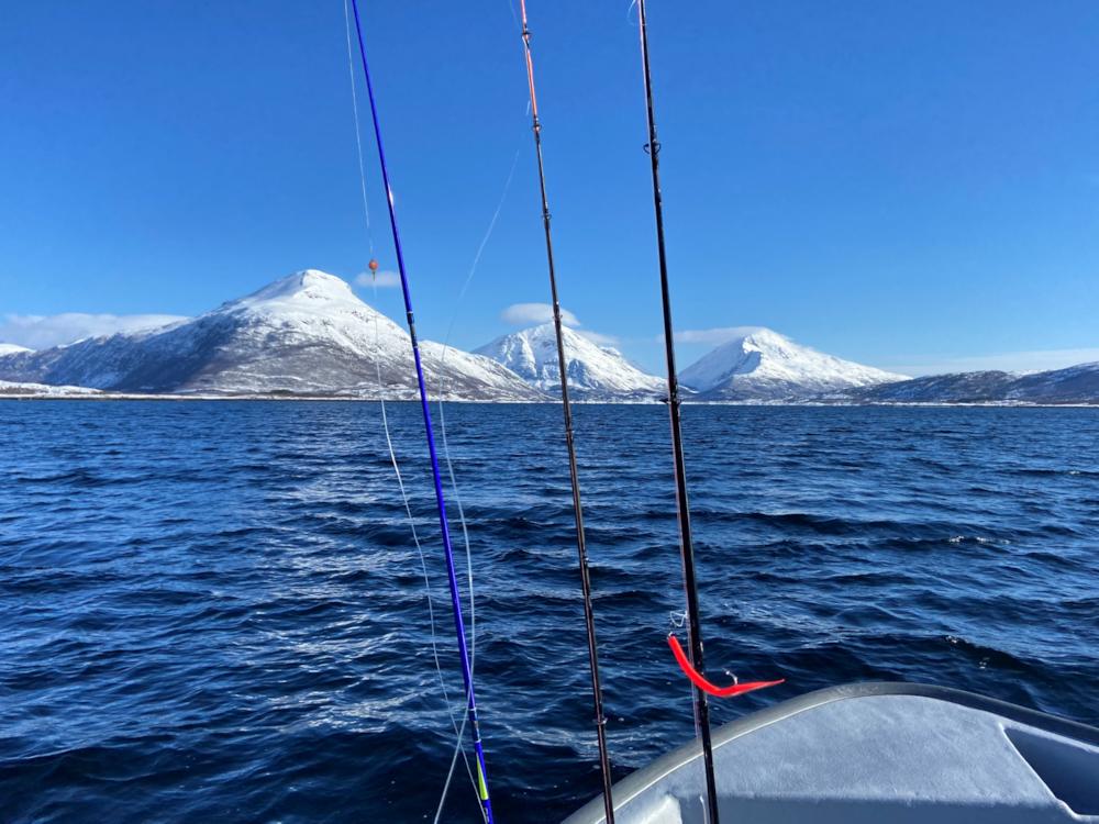 189/3 LØDINGEN - Lofoten - 23