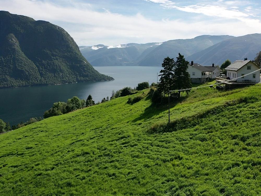 113/2 BERGE am Sognefjord - 1