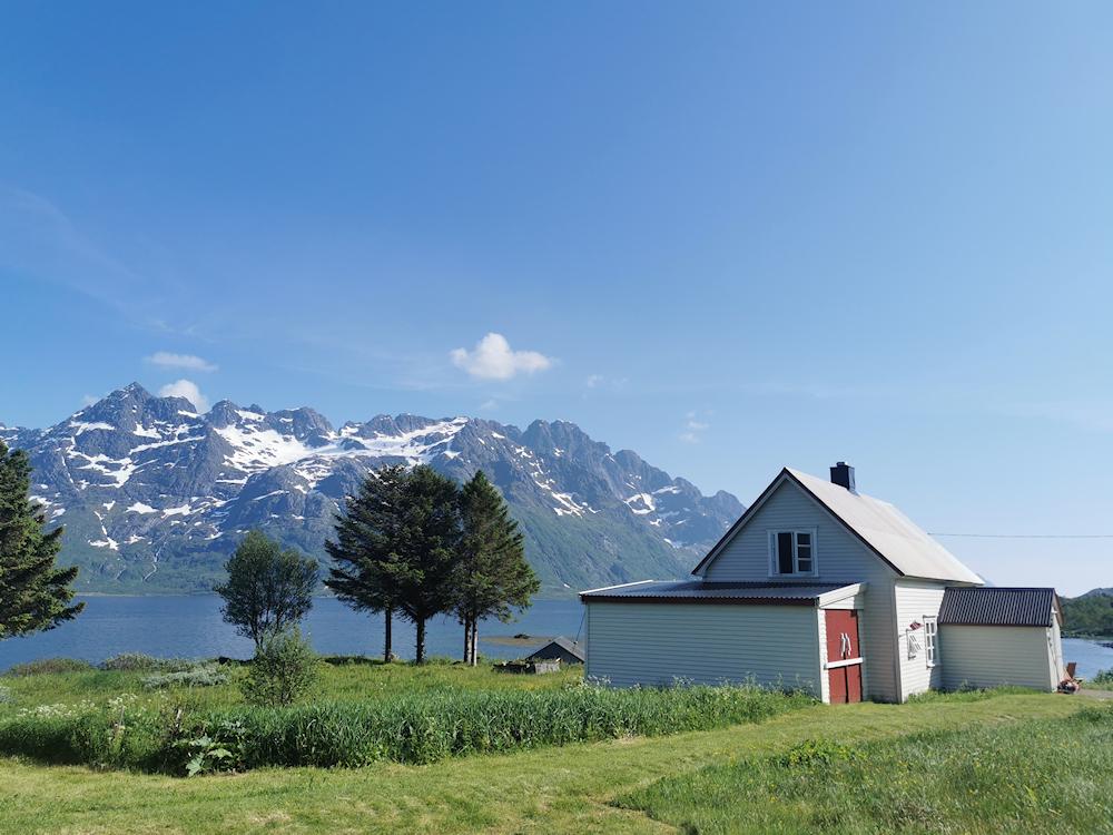 197/1 DALHAUG bei Svolvær - Lofoten - 11