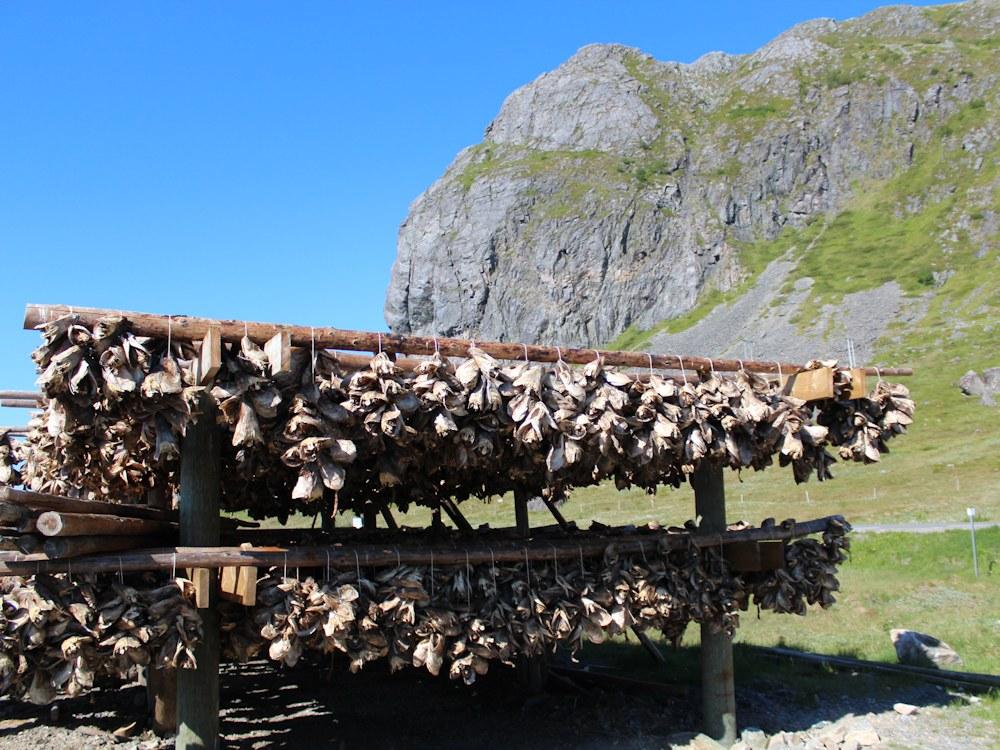 197/1 DALHAUG bei Svolvær - Lofoten - 16