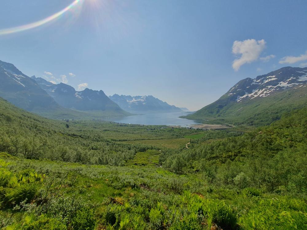 197/1 DALHAUG bei Svolvær - Lofoten - 19