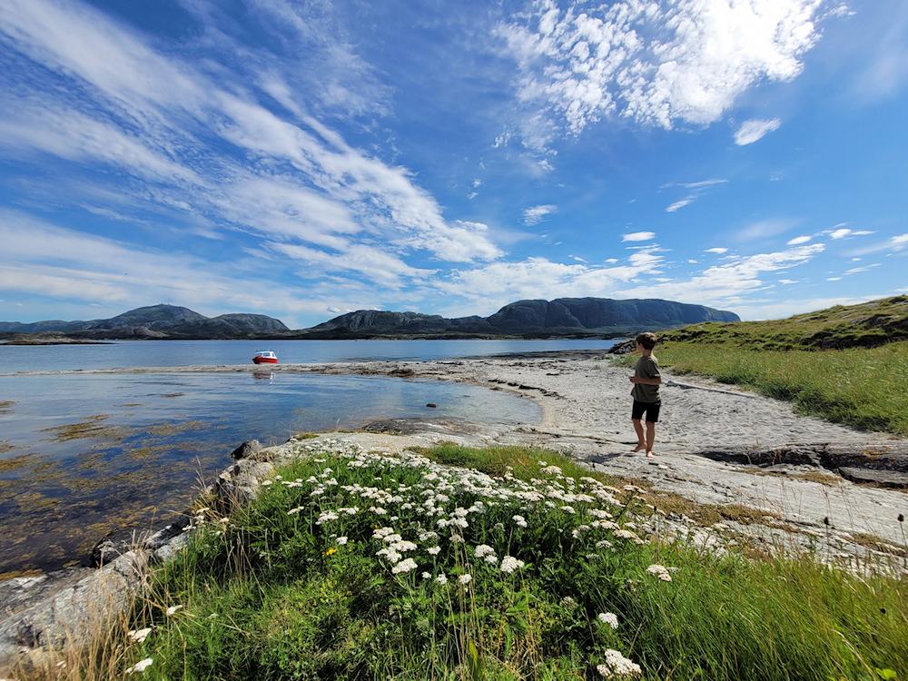 173/1 ØRLAND am Valsfjord - 5