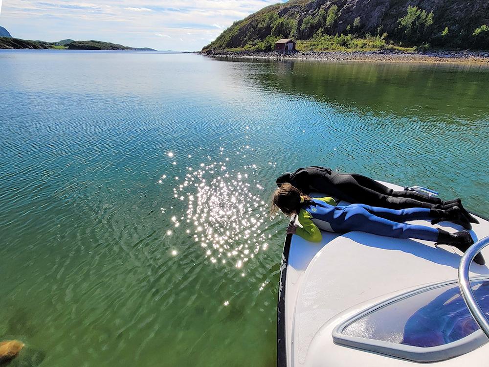 173/1 ØRLAND am Valsfjord - 10