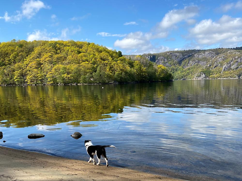 28/1 KOLLEVOLL bei Lyngdal - 4