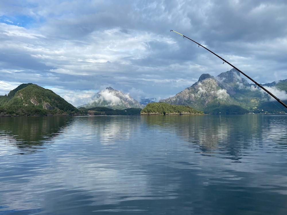 103/1 HØYDALSFJORD bei Florø - 6