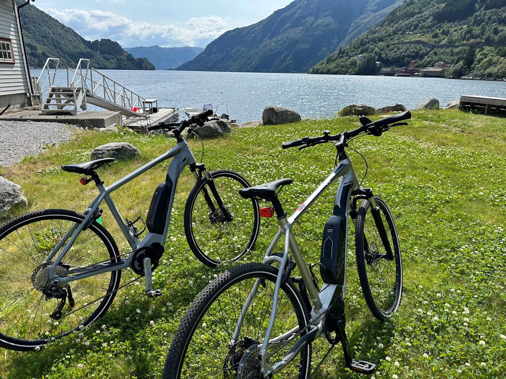 100/21 VADHEIM am Sognefjord - 16