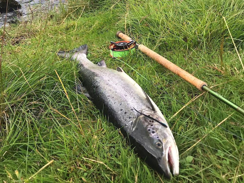 84/1 STÅRHEIM am Nordfjord - 13