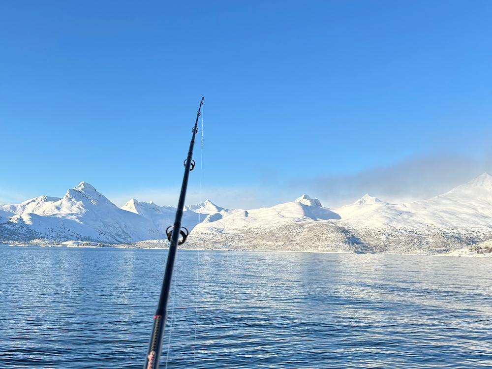 100/11 LOFOTEN - Yetibu - 27