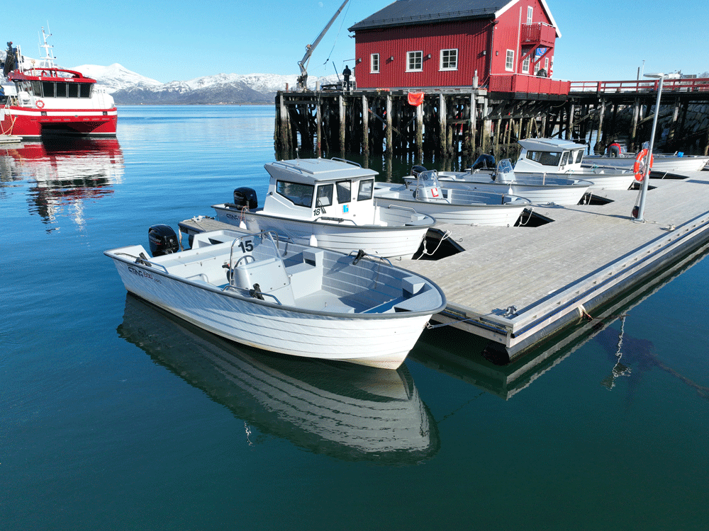 189/5 LØDINGEN - Lofoten - 2