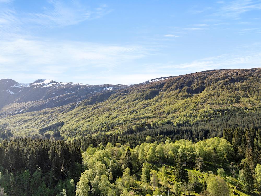 119/2 DAVIK am Nordfjord - 16