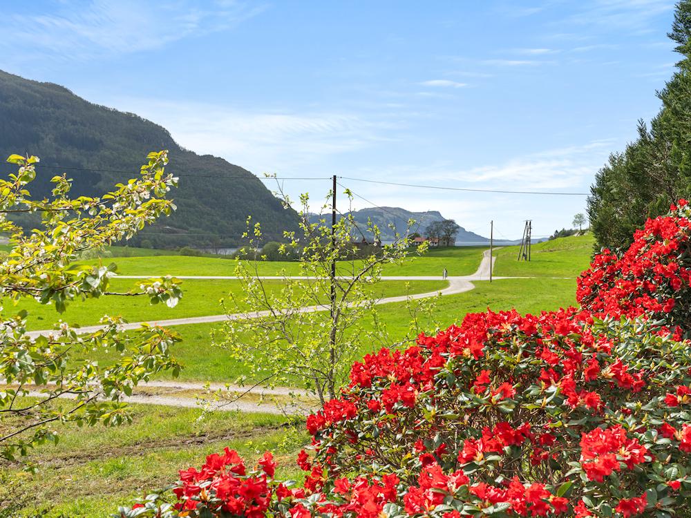 124/1 REDALSVIKA bei Førde - 16