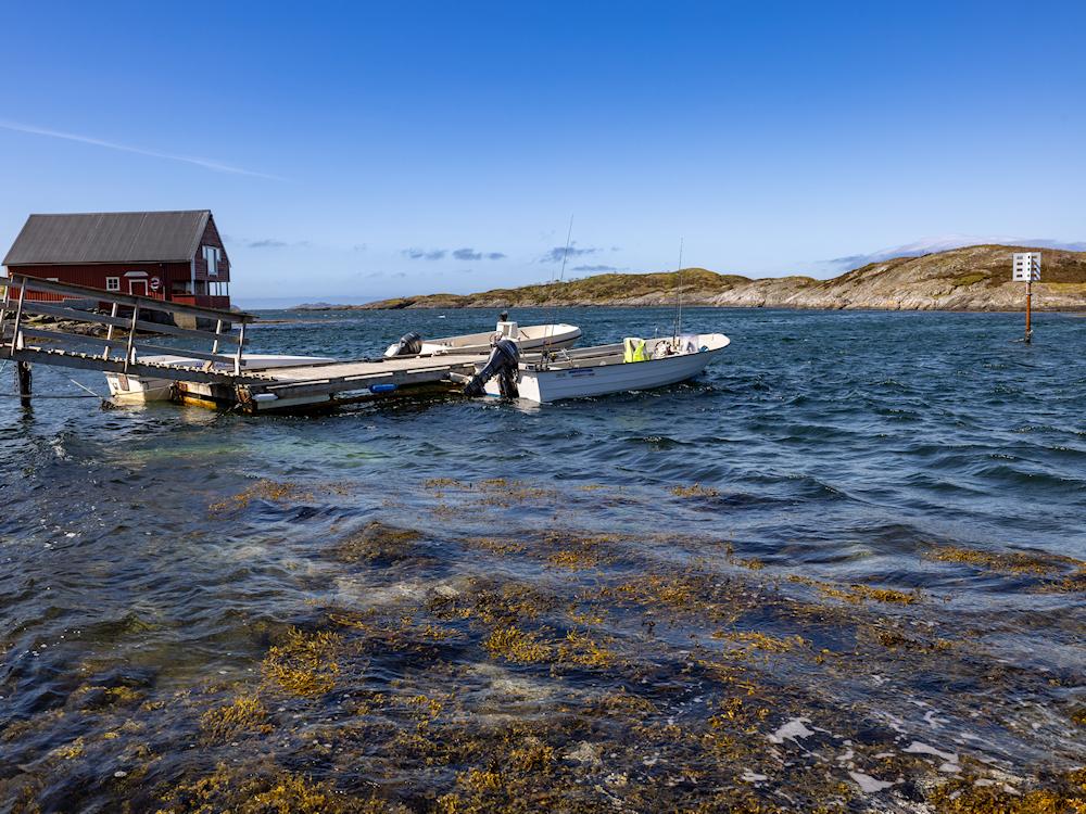 122/1 LAMMETUN am Vilnesfjord - 2