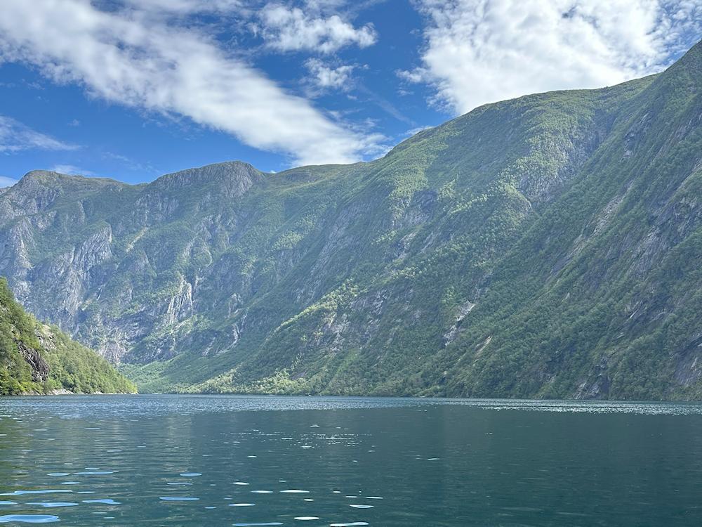94/1 FINNABOTNEN am Sognefjord - 11