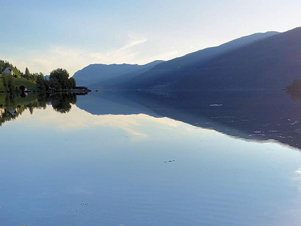 118/1 SKOGSBU am Hornindalsvatnet - 4