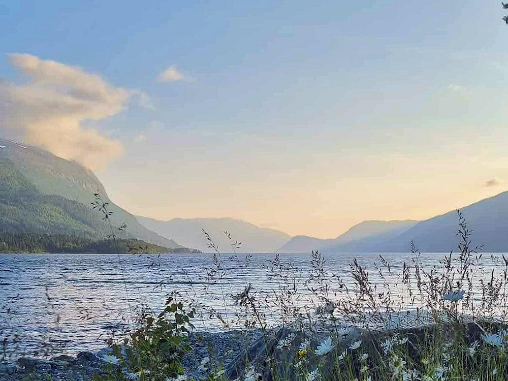 118/1 SKOGSBU am Hornindalsvatnet - 7