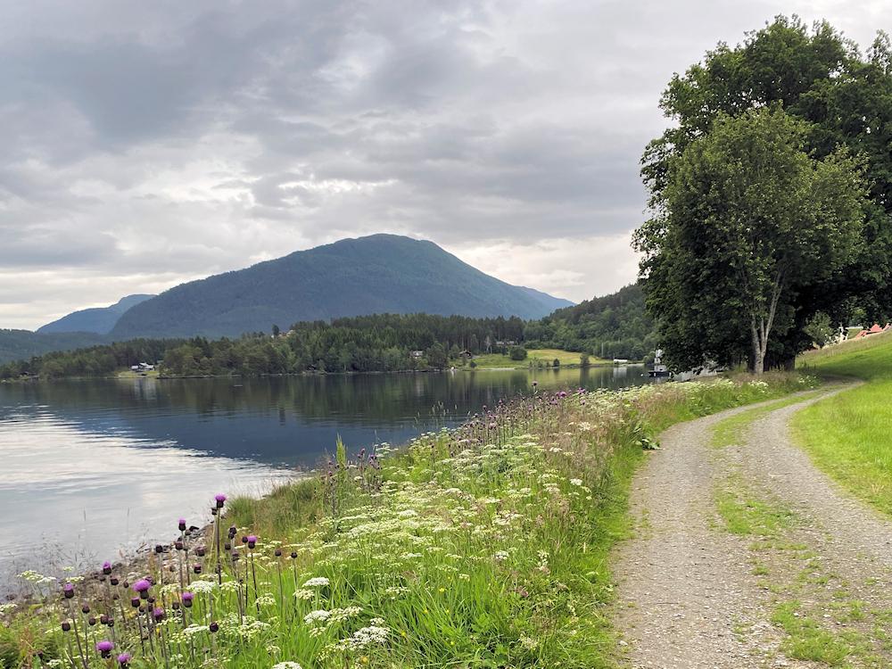 118/1 SKOGSBU am Hornindalsvatnet - 9