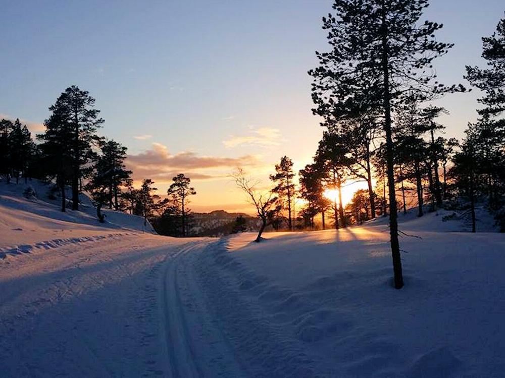 118/1 SKOGSBU am Hornindalsvatnet - 13