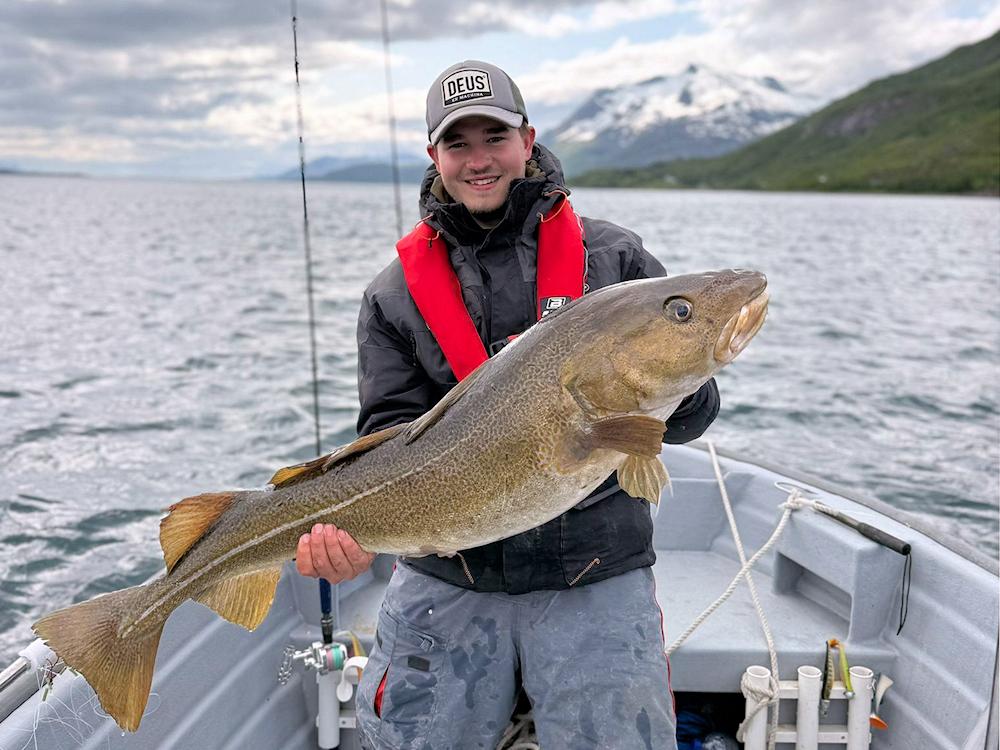 195/1 KONGSVIK - Lofoten | Vesterålen - 20