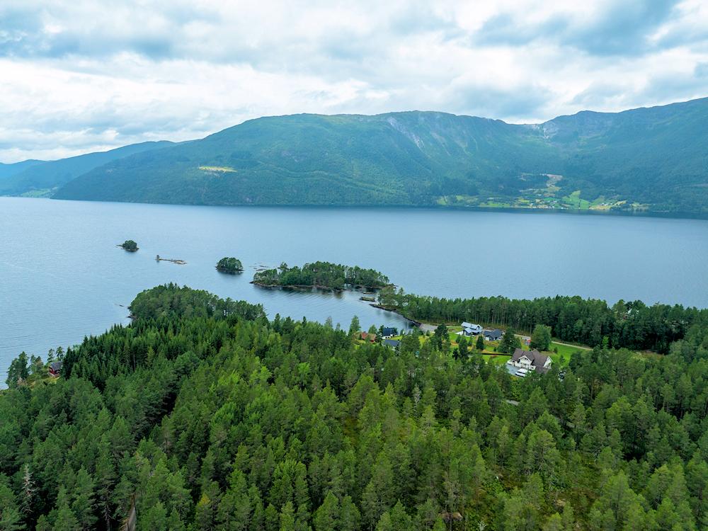 118/1 SKOGSBU am Hornindalsvatnet - 3