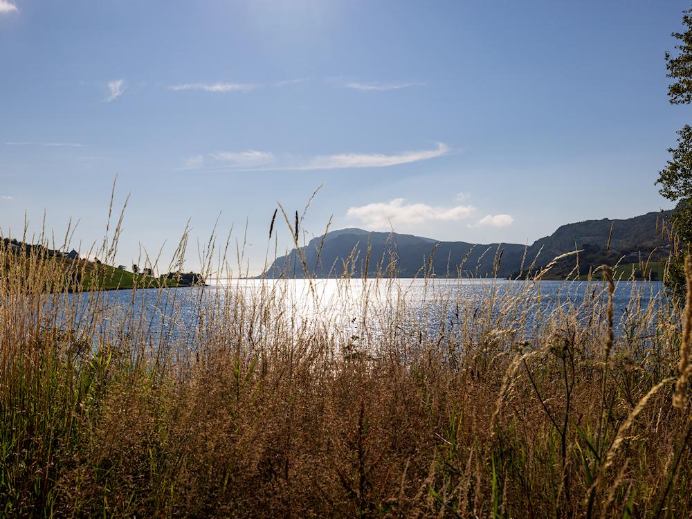 101/1 STONGFJORD bei Førde - 6