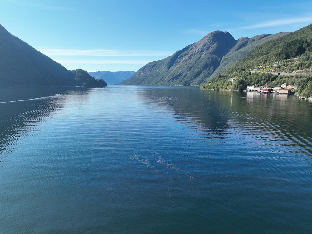 100/15 ALFIBU am Vadheimsfjord - 8