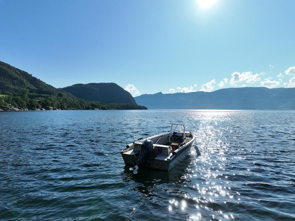 100/4 MATSIBU am Sognefjord - 2
