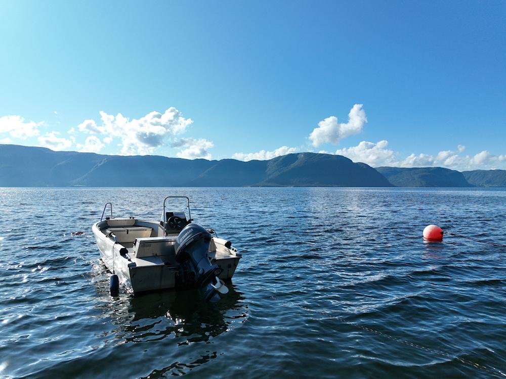 100/5 TORVUND am Sognefjord - 2
