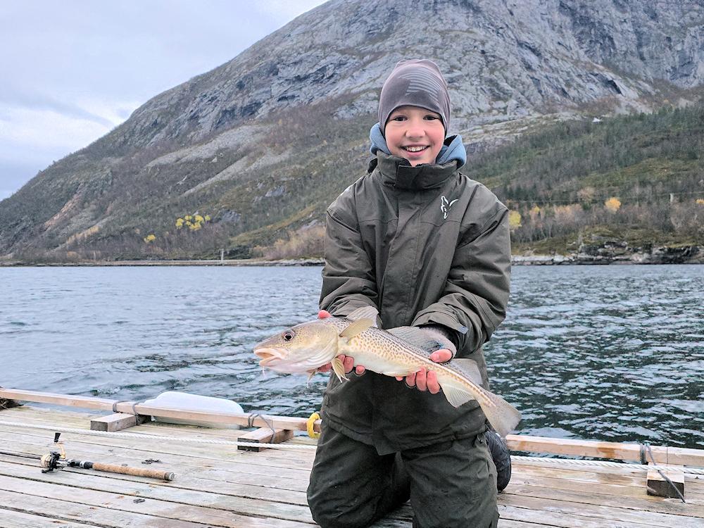 181/1 BINDALSFJORD - Nordland - 12