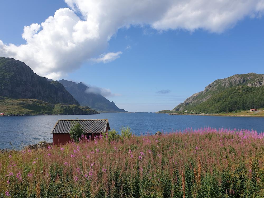 195/2 KONGSVIK - Lofoten | Vesterålen - 10