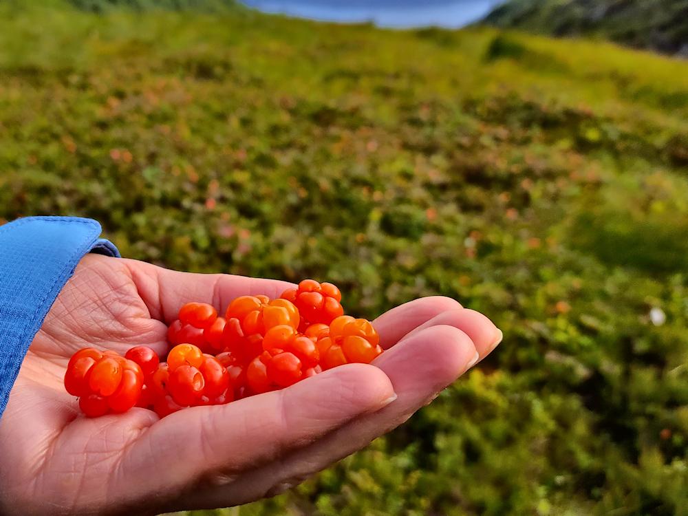 216/1 ÅSERAL im Setesdal - 12