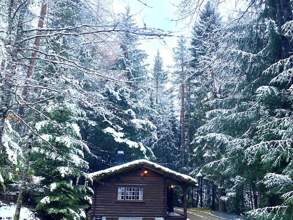 118/1 SKOGSBU am Hornindalsvatnet - 8