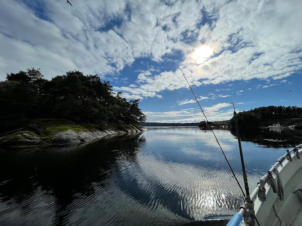 62/4 BØMLOFJORD - Liereid - 18