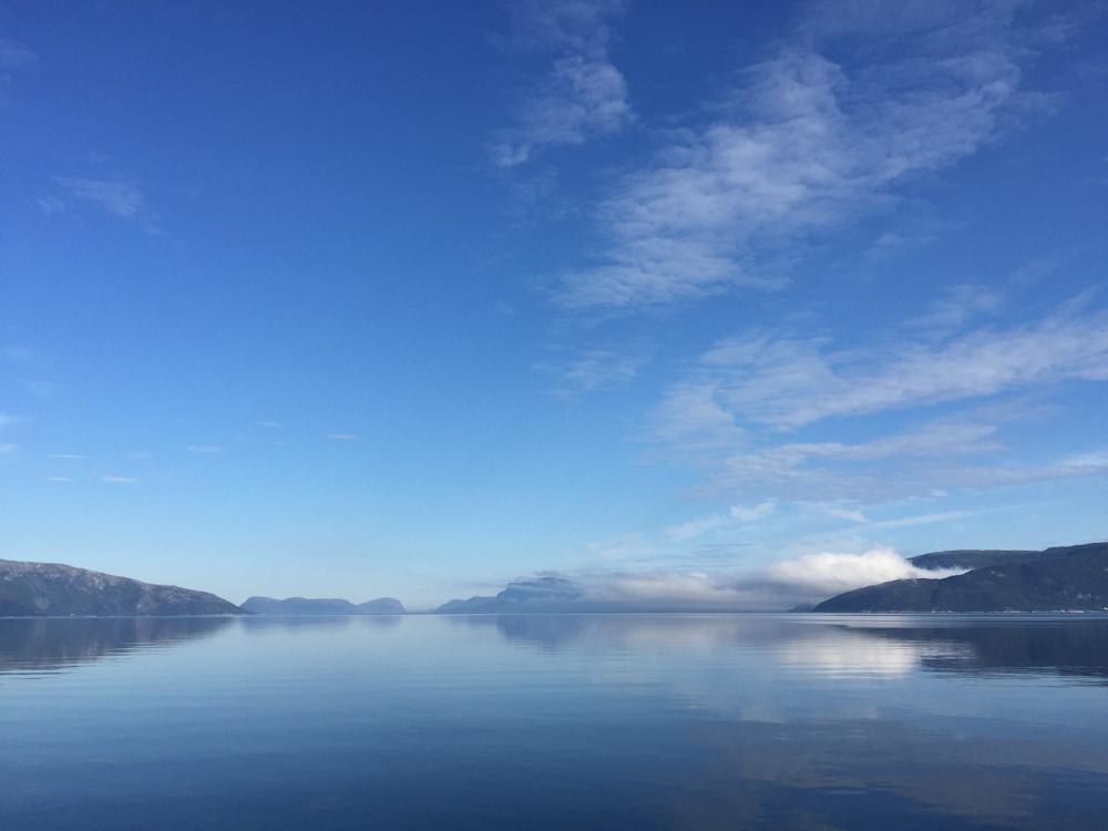 98/1 TORVUND am Sognefjord - 3