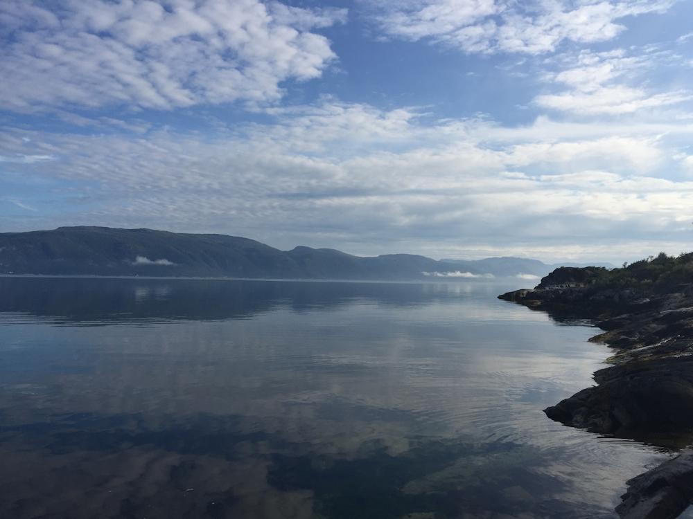 98/1 TORVUND am Sognefjord - 15