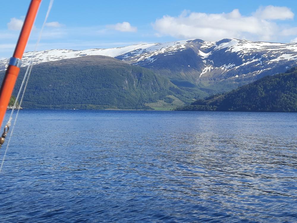 106/1 LEFDAL am Nordfjord - 14