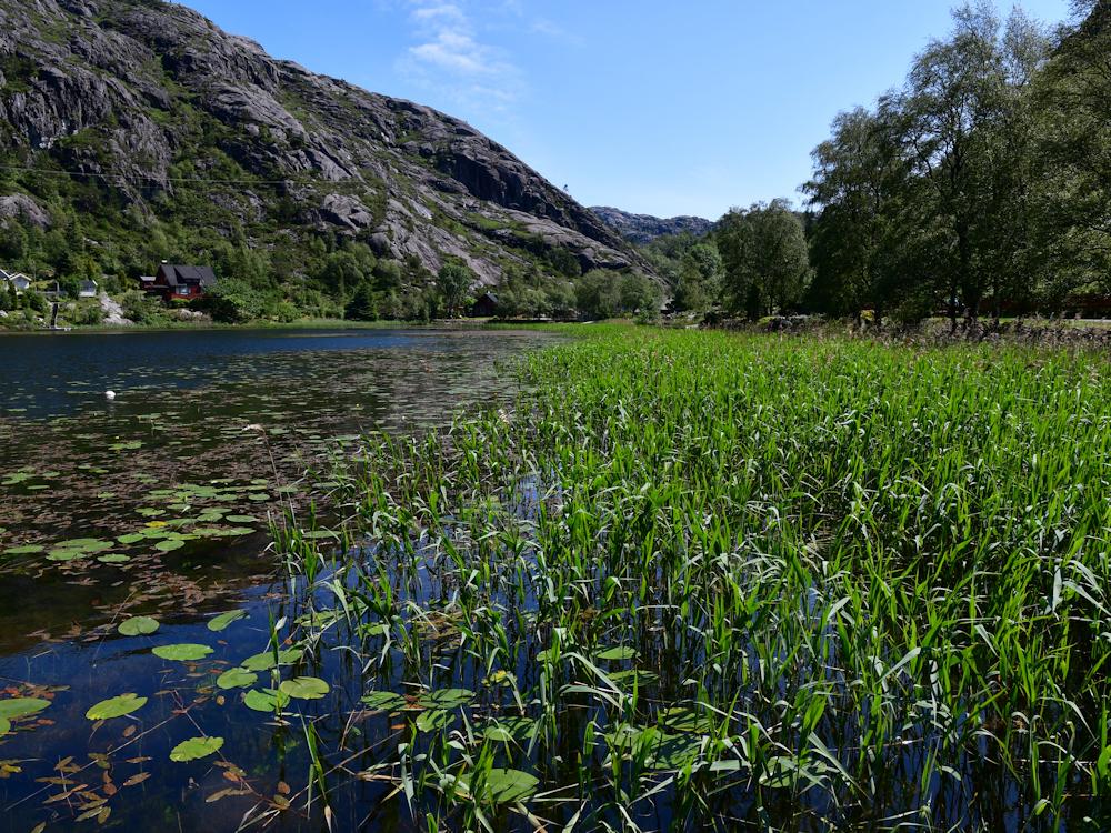 43/2 BERREFJORD bei Flekkefjord - 11