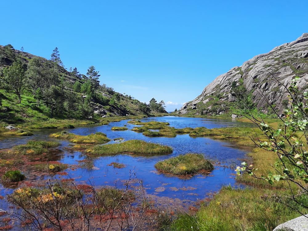 43/2 BERREFJORD bei Flekkefjord - 21