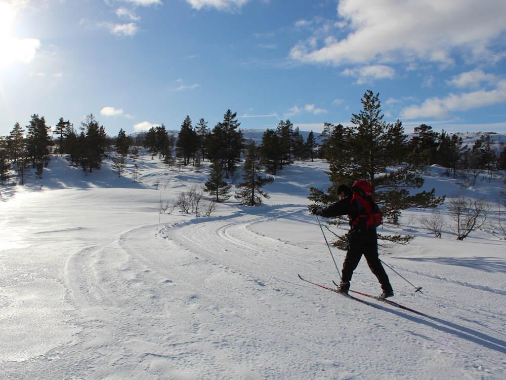 200/2 FEDAFJORD bei Hidra - 13