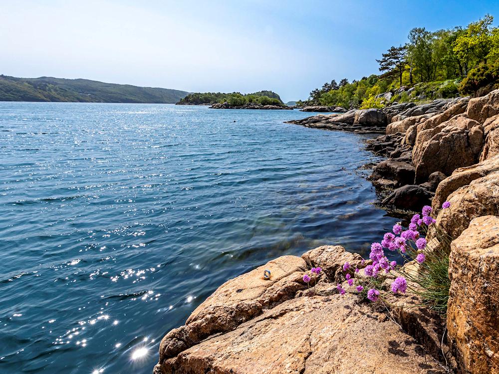 207/1 ERIKSTAD am Grønsfjord - 1