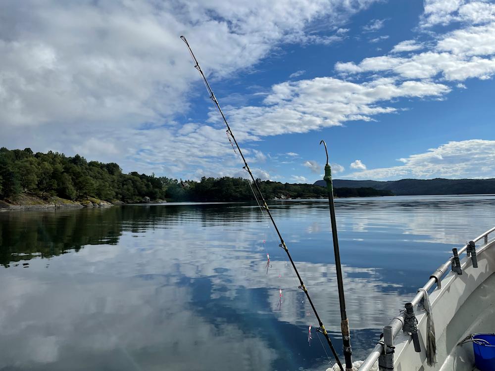 62/5 BØMLOFJORD - Liereid - 16